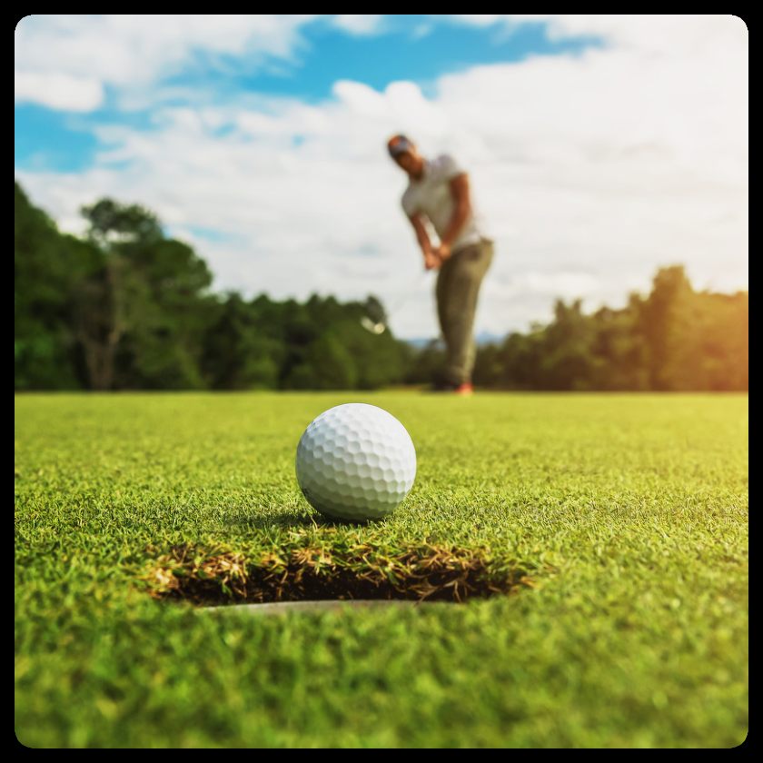 Golf course representing the club membership project